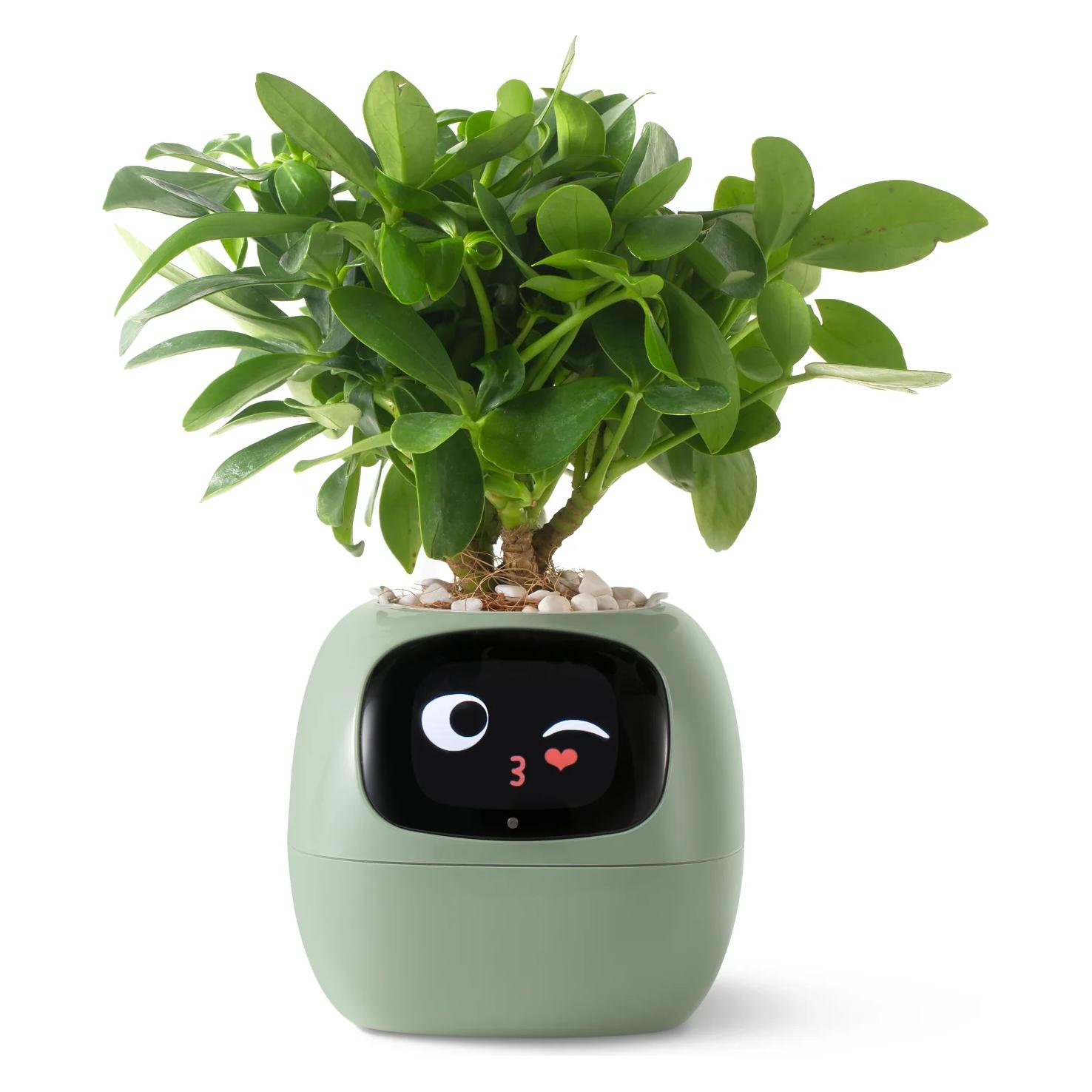 Plantsio Ivy Smart Planter (ivy_smart_planter_green)