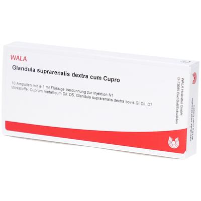 Glandula Suprarenales dextra cum Cupro Ampullen 10x1 ml