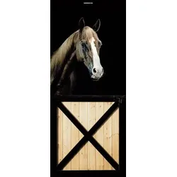 Scheurich Türfolie Brown Horse, für Innen- Außentüren