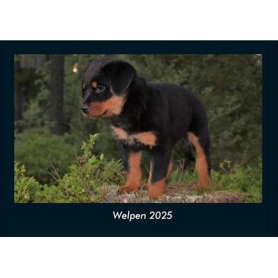 Welpen 2025 Fotokalender DIN A4
