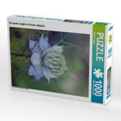 CALVENDO Puzzle Die aparte Jungfer im Grünen (Nigella) 1000 Teile Lege-Größe 48 x 64 cm Foto-Puzzle Bild von Renate Grobelny
