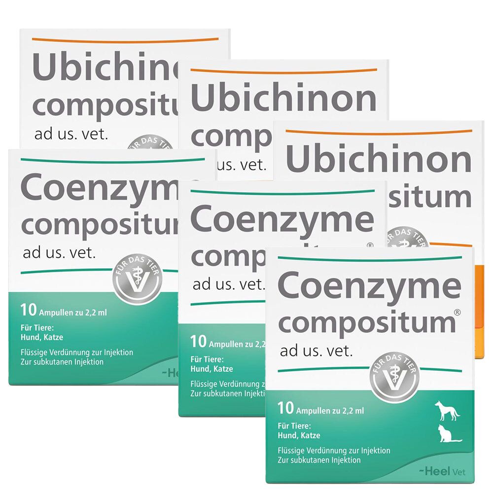 Solidago compositum ad us. vet. Ampullen + Ubichinon Coe 3x3x10 St