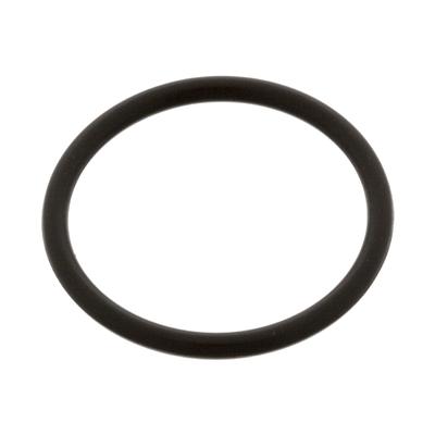 FEBI BILSTEIN O-Ring 48674 21mm