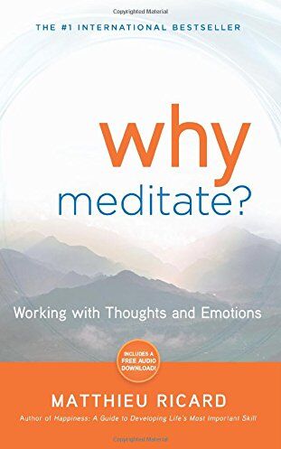 Matthieu Ricard - Why Meditate? - Preis vom 09.10.2026 07:28:09 h