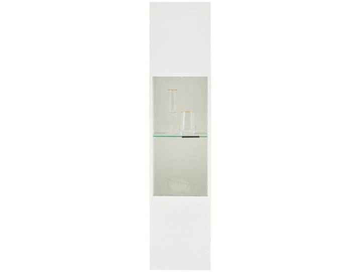 HÄNGEVITRINE OTIS
