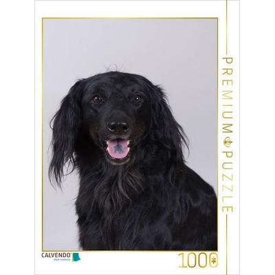 CALVENDO Puzzle Hovawart | 1000 Teile Lege-Größe 64x48cm Foto-Puzzle für glückliche Stunden