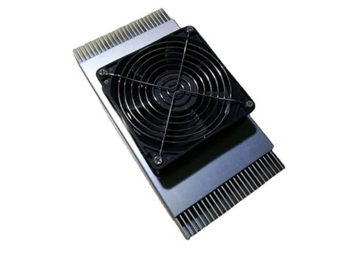 Elektronischer Kühlschrank Halbleiter-Kühleinheit FP-100W Kühlplatte Aluminiumplattenkühler