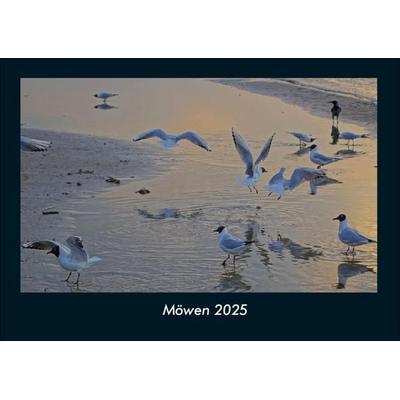 Möwen 2025 Fotokalender DIN A4