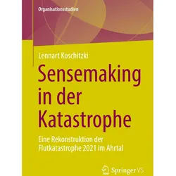 Sensemaking in der Katastrophe, Sachbücher von Lennart Koschitzki