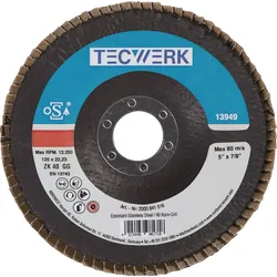 Fächerscheibe D.180mm K.80 kon.INOX ZK TECWERK