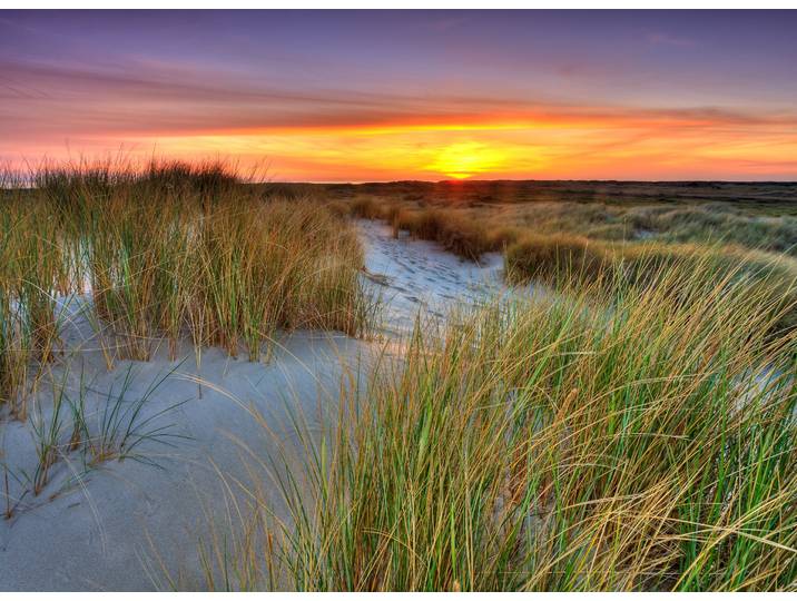 Papermoon Dunes Sunset glatt