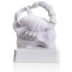 Wagner, Deko Figuren + Skulpturen, 2716 BW - Porzellanfigur Tierkreiszeichen Skorpion 10 cm, bisquit weiss