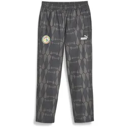 Puma, Herren, Sporthose, FSF FtblCulture Track Pants (M), Schwarz