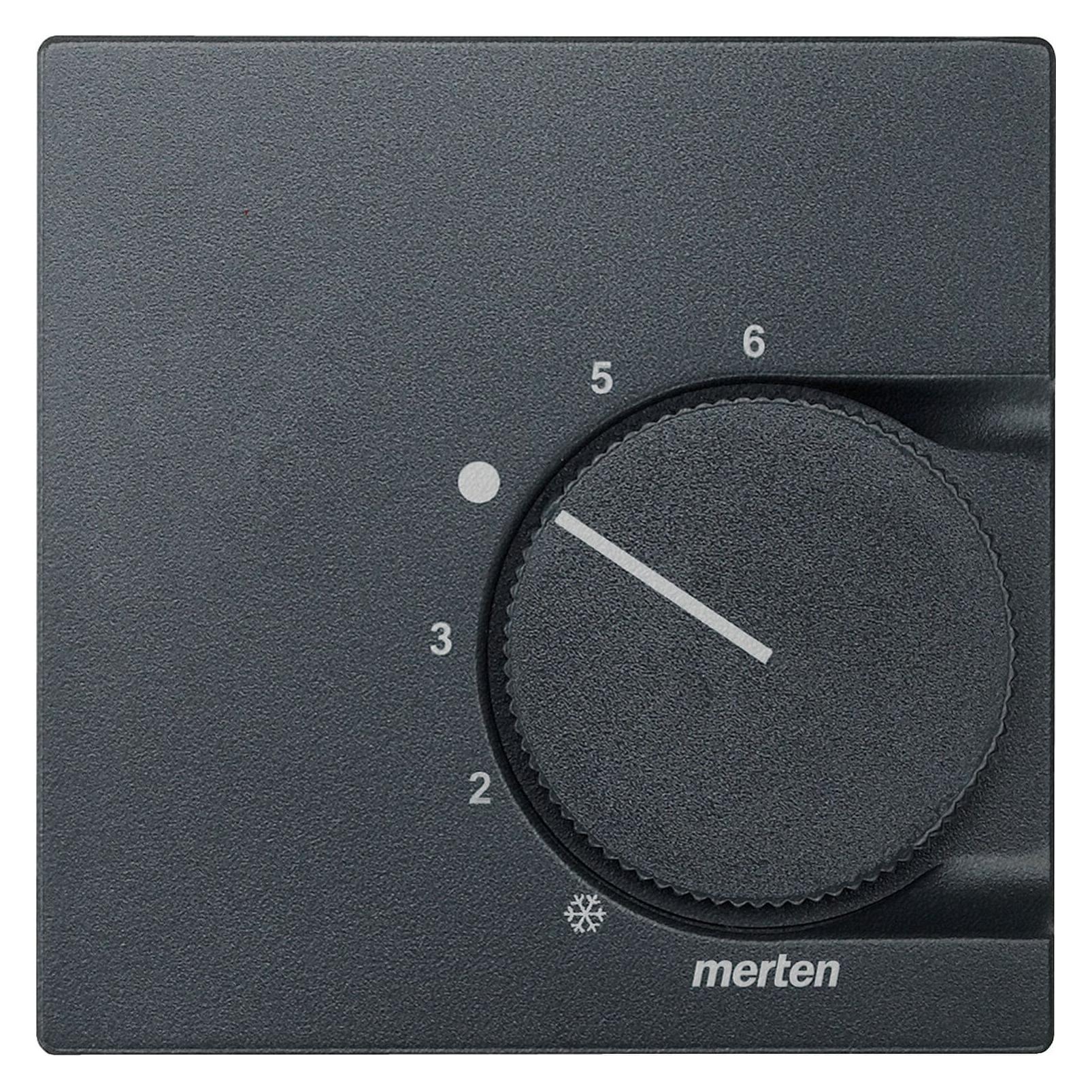 Merten Zentralplatte (536214)