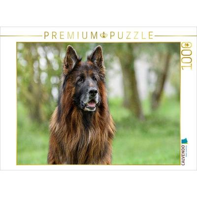 CALVENDO Puzzle 10 jähriger Langstockhaar Schäferhund | 1000 Teile Lege-Größe 64x48cm Foto-Puzzle für glückliche Stunden