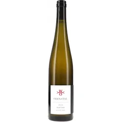 Riesling Tertiär Odinstal 2024 BIO