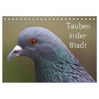 Tauben in der Stadt (Tischkalender 2027 DIN A5 quer), CALVENDO Monatskalender