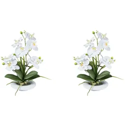 CREATIV green künstliche Pflanze Orchidee, 41 cm 2er Set