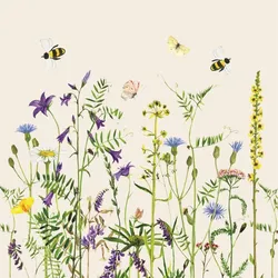 IB Laursen Serviette Summer Field 50 Stck, 40 x 40 cm