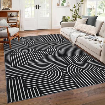 Garvee Dynamic Arcs Geometric Modern Area Rug