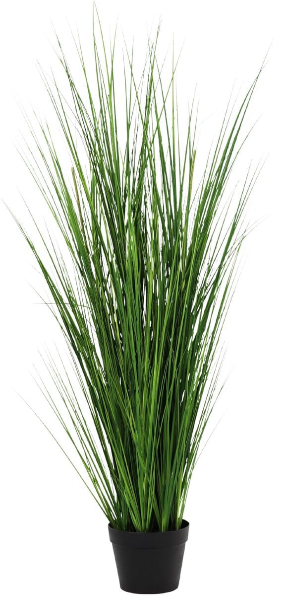 Florafy Kunstplant Allium 130cm - Groene kunstplant voor binnen