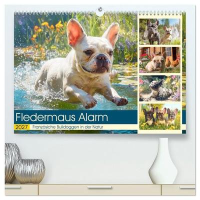 Fledermaus Alarm. Französiche Bulldoggen in der Natur (hochwertiger Premium Wandkalender 2027 DIN A2 quer), Kunstdruck in Hochglanz