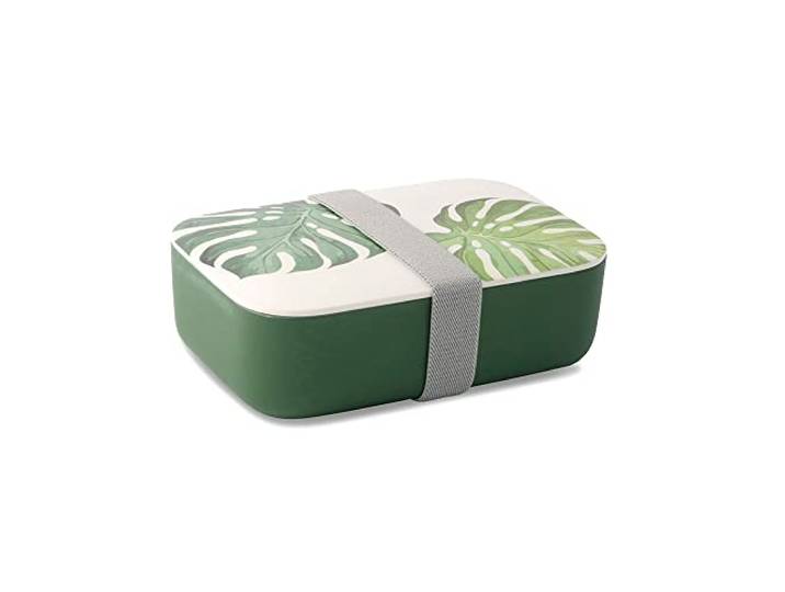 BIOZOYG 24x PLA Brotdose Pausen-Box Blätter mit Deckel 18,8x12,5x6,3 cm Lebensmittelechte Vesperbox aus PLA, spülmaschinengeeignet & bruchfest - für Kindergarten, Schule & unterwegs
