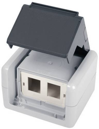 Telegärtner Netzwerkdose Aufputz CAT 5e, CAT 6, CAT 6a Grau