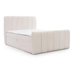 BOXBETT Denis