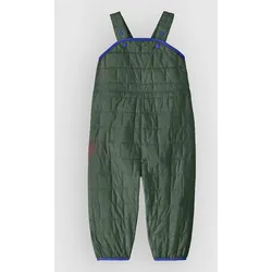 Patagonia Nano Puffer-Alls Kids Overall canopy green Gr. M18