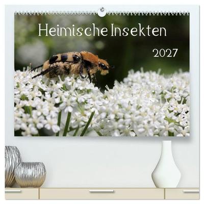 Heimische Insekten 2027 (hochwertiger Premium Wandkalender 2027 DIN A2 quer), Kunstdruck in Hochglanz
