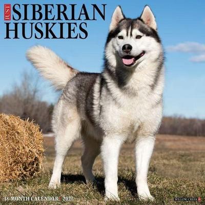 Siberian Huskies 2027 12 X 12 Wall Calendar