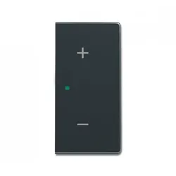 Busch-Jaeger 6237-22-81 Wippe/R 2-fach Volume