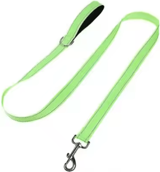 Inspire Picks Night Paw Reflective Pet Walking Leash For Dogs & Cats light Green 2.5cmx120cm