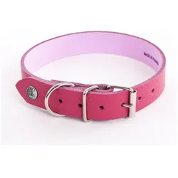 Martin Sellier Allure (Hund, Spazieren), Halsband + Leine