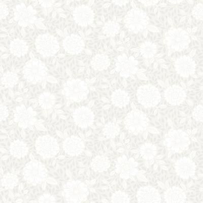 A-Street Prints Lizette Light Grey Charming Floral Wallpaper