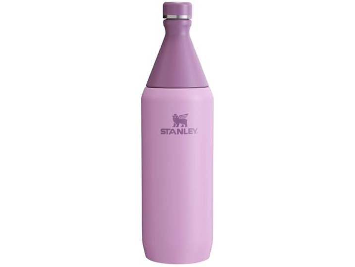 Stanley Schlanke Flasche für den ganzen Tag, 100 ml, auslaufsicherer Drehdeckel, schlankes Design für Reisen und Fitnessstudio, isolierte Edelstahl-Wasserflasche, BPA-frei, Lila