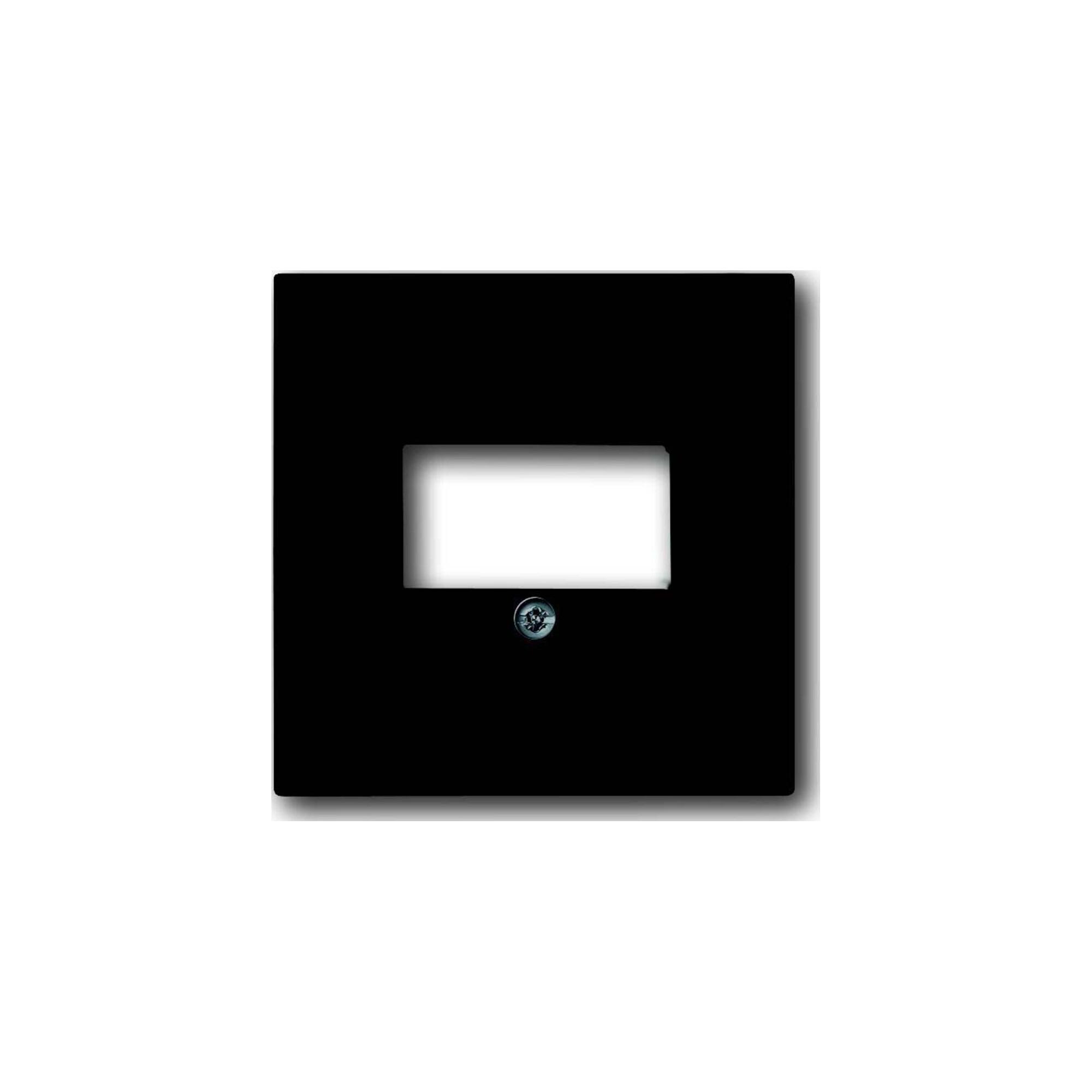 Busch-Jaeger Zentralscheibe anth f.UAE/TAE/LS 1766-81 (2CKA001710A3613)