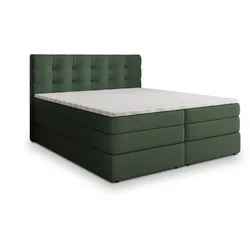 BOXSPRINGBETT AREZI 140x200 cm mit Matratze und Topper - Grün