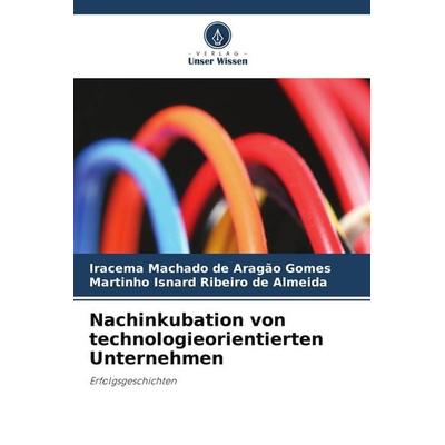 Nachinkubation von technologieorientierten Unternehmen, Taschenbuch von Iracema Machado de Aragão Gomes,Martinho Isnard Ribeiro de Almeida, Verlag