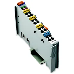 WAGO GmbH &amp; Co. KG 2-Kanal-Analogausgang 750-563