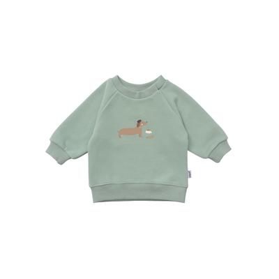 Sweatshirt LILIPUT "Dackel", Jungen, Gr. 62/68, grün, 80% Baumwolle, 20% Polyester, bedruckt, normal, Rundhals, Sweatshirts Sweatshirt, mit niedlichem Dackel-Print