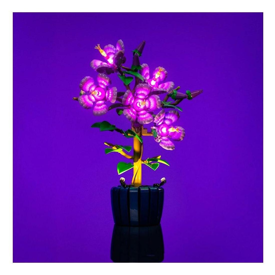 Light my bricks LMB 2.0 LED Licht Set für LEGO 10372 Hibiskus (10372)