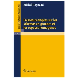 Faisceaux amples sur les schemas en groupes et les espaces homogenes, Fachbücher von Michel Raynaud
