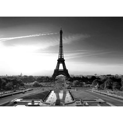 Fototapete PAPERMOON "Paris Eiffelturm Schwarz & Weiß", schwarz (schwarz, weiß), B:3m L:2,23m, Vlies, Tapeten