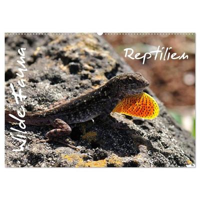 Wilde Fauna - Reptilien (Wandkalender 2026 DIN A2 quer), CALVENDO Monatskalender