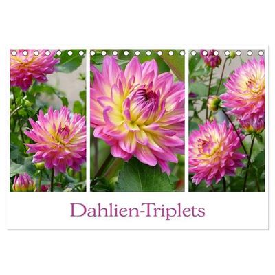 Dahlien-Triplets (Tischkalender 2026 DIN A5 quer), CALVENDO Monatskalender