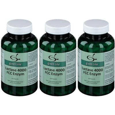 Lactase 4.000 FCC Enzym Kapseln x3 3x200 St