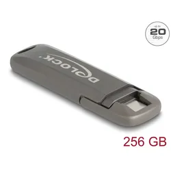 DELOCK USB20 Gbps USB-C Speicherstick 256GB Lesegeschwindkei