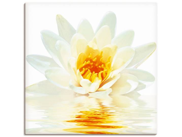 Leinwandbild ARTLAND Lotusblume schwimmt im Wasser , weiss (farbe bild(er): weiß), B:30cm H:30cm, Bilder, Leinwandbild, auf Holzrahmen gespannt